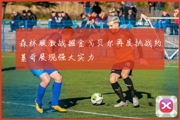 森林狼激战掘金戈贝尔再度挑战约基奇展现强大实力